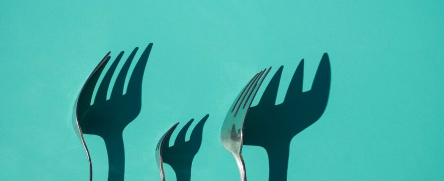 diet forks